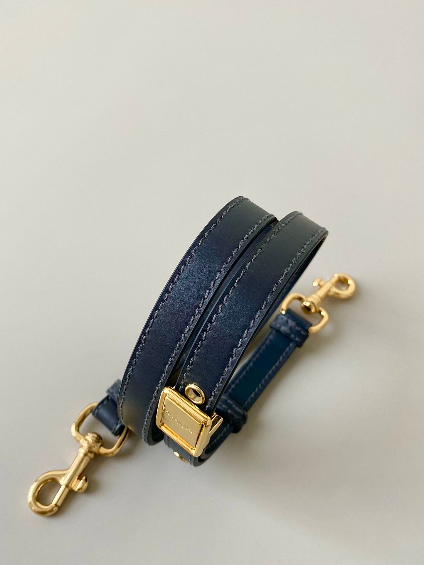 Luxury Diormedium east west bobby 22cm blue oblique canvas