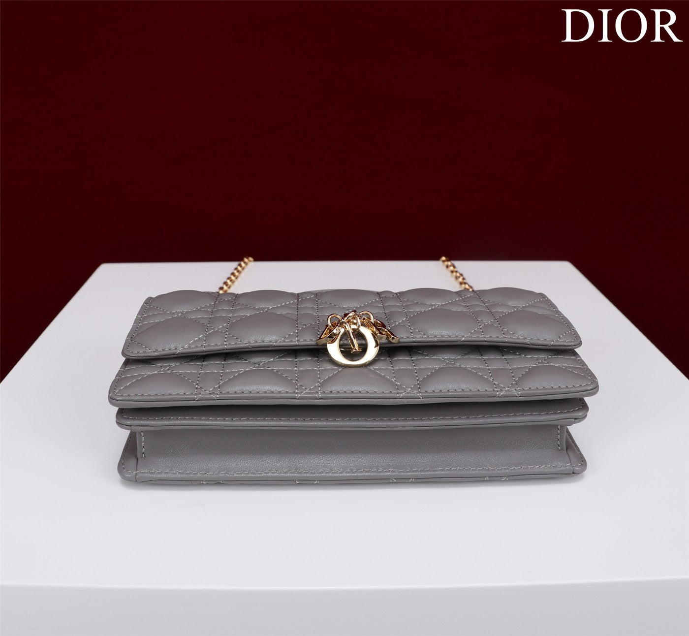 Luxury Diormy mini 21 gray lambskin