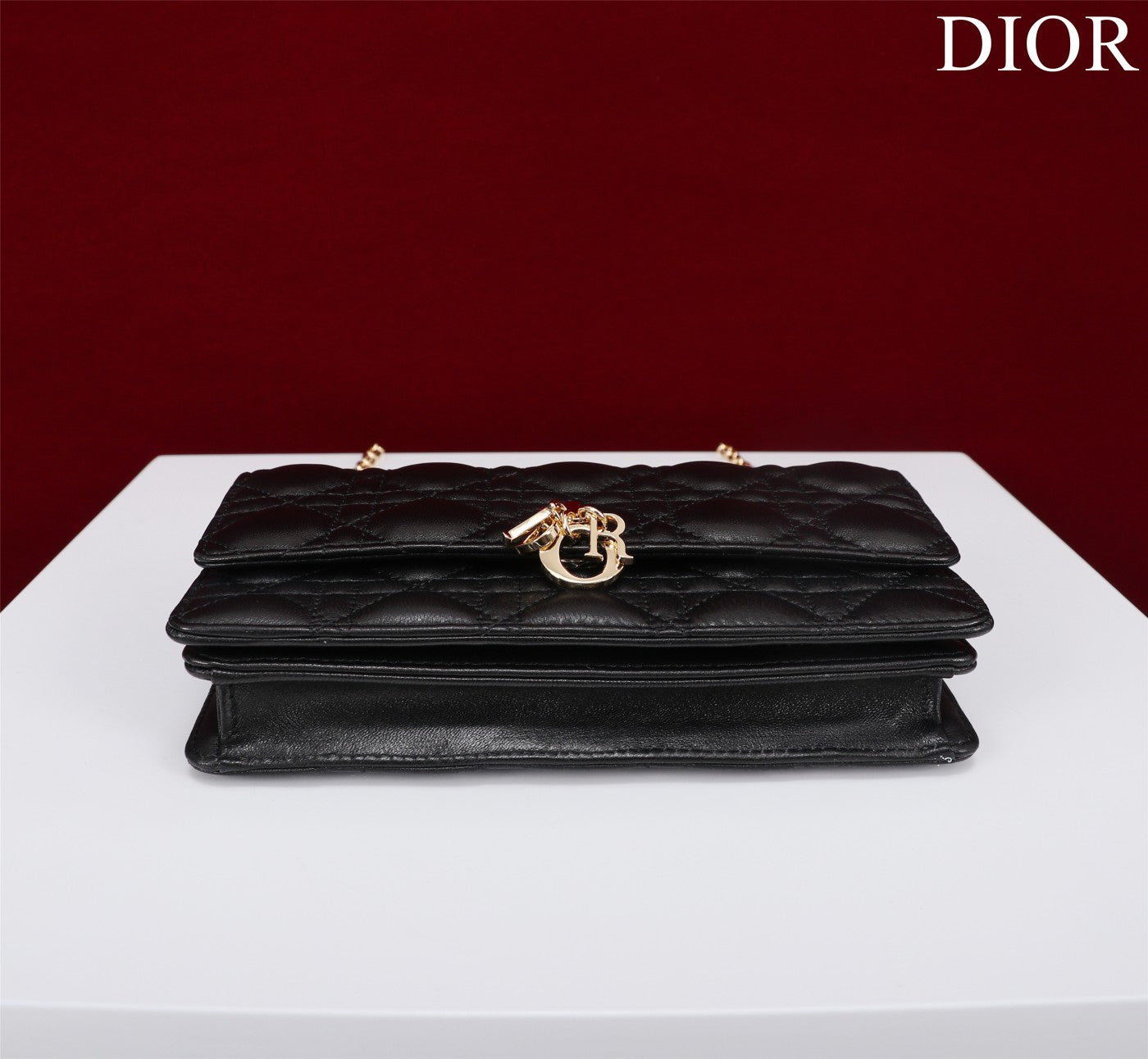 Luxury Diormy mini 21 black lambskin