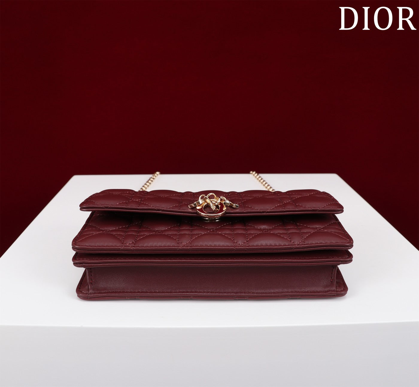 Luxury Diormy mini 21 burgundy lambskin