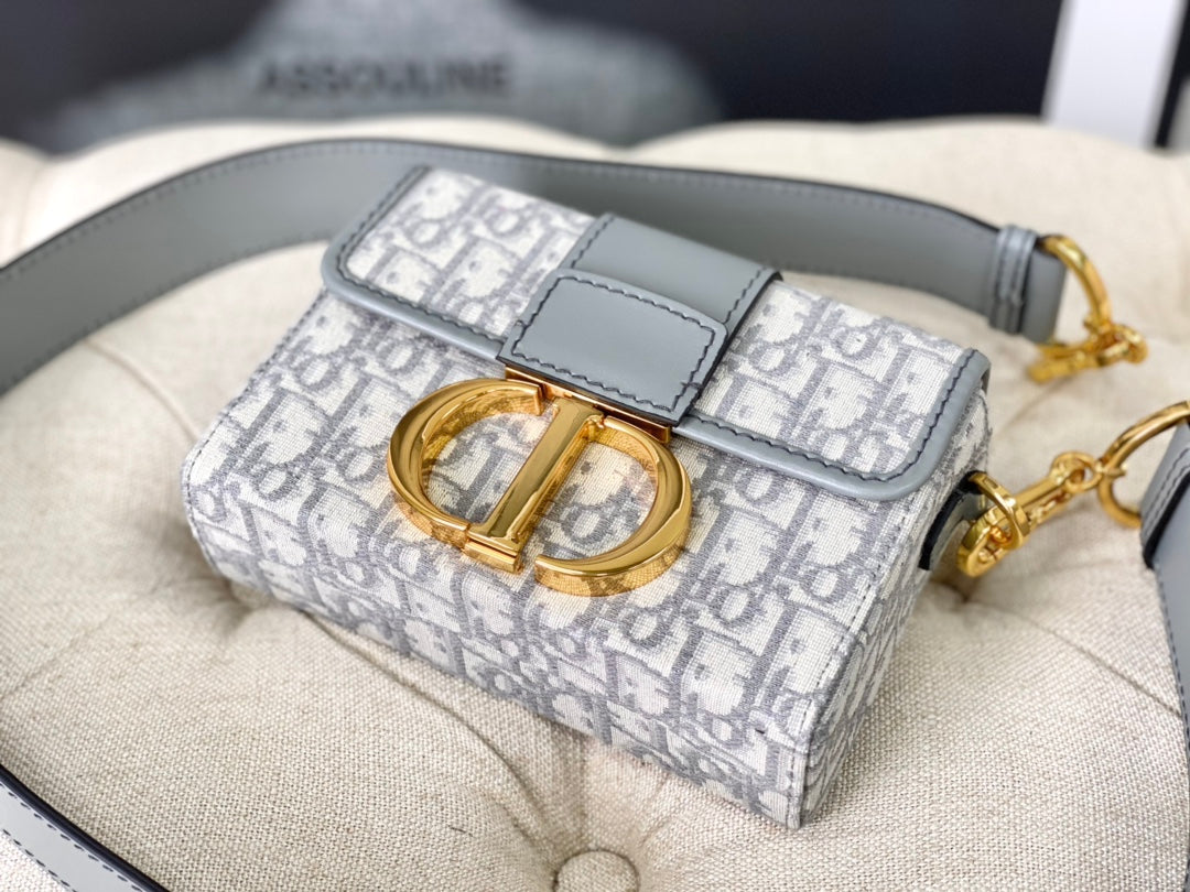 Luxury DiorMONTAIGNE 19 HANDBAG IN GREY CALFSKIN