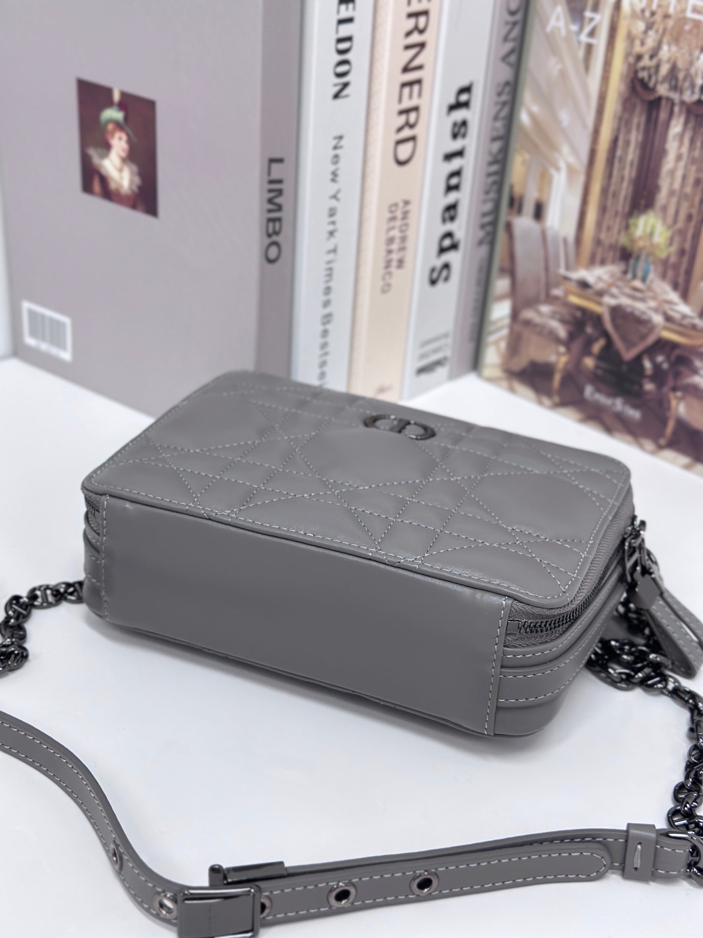 Luxury DiorCARO BOX 19 IN GREY CALFSKIN