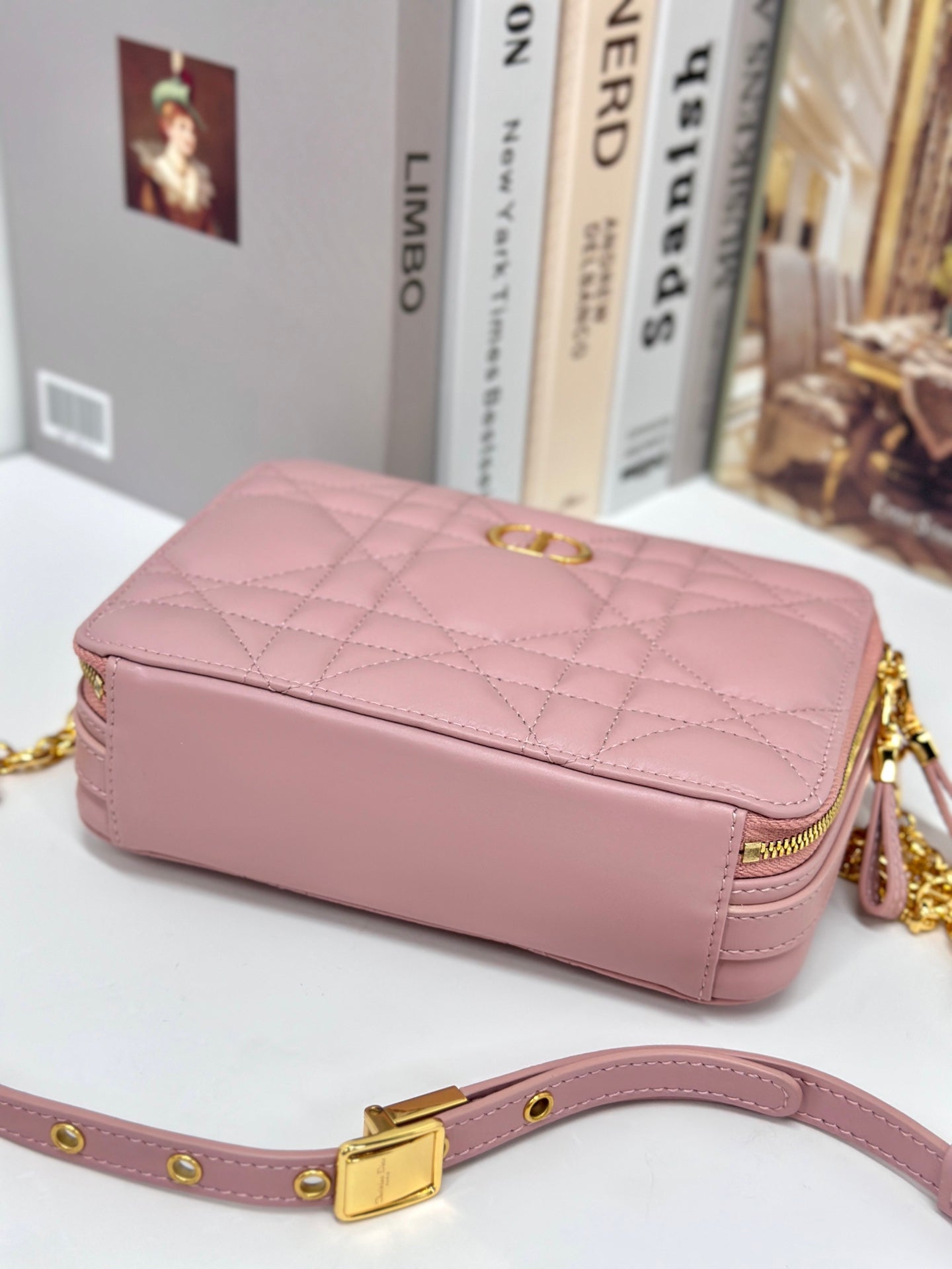 Luxury DiorCARO BOX 19 IN LIGHT PINK CALFSKIN