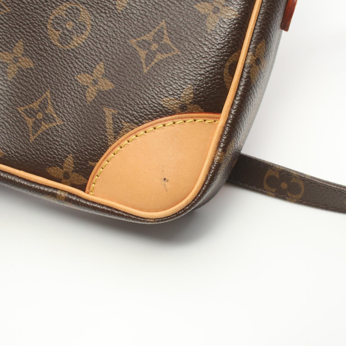 Louis Vuitton Danube Monogram Shoulder Bag M45266
