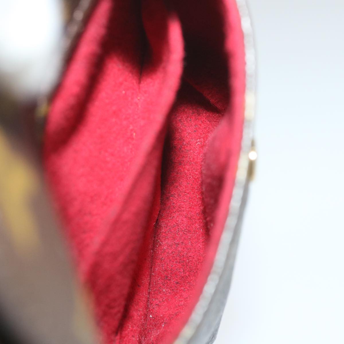 LOUIS VUITTON Monogram Partition Pouch M51901 LV 56445