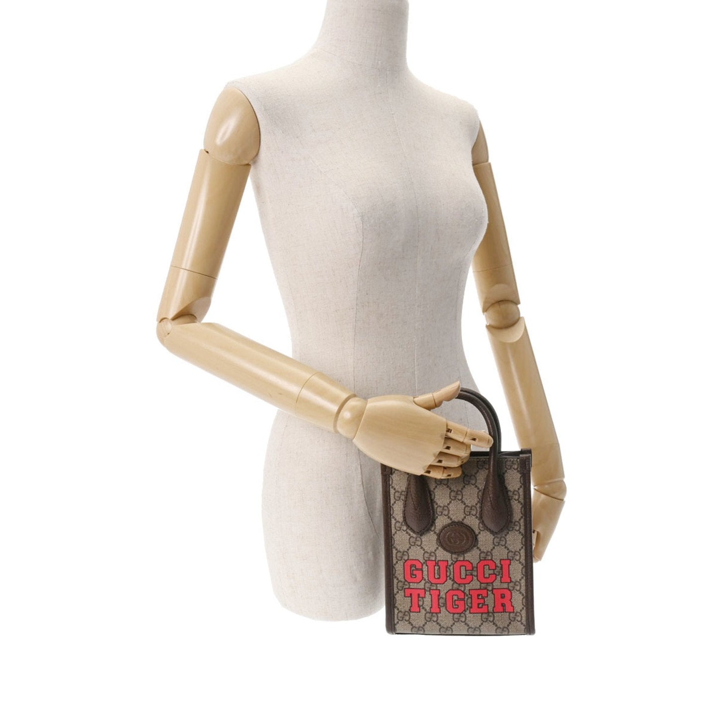 Gucci Canvas Handbag ()