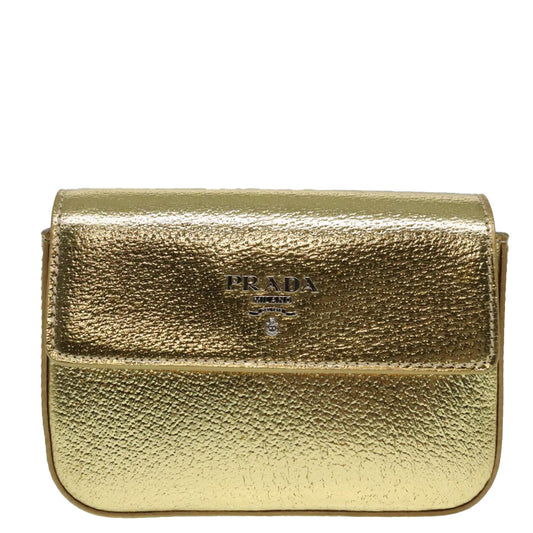 Luxury Prada Accessory Pouch Leather Silver Gold 88214