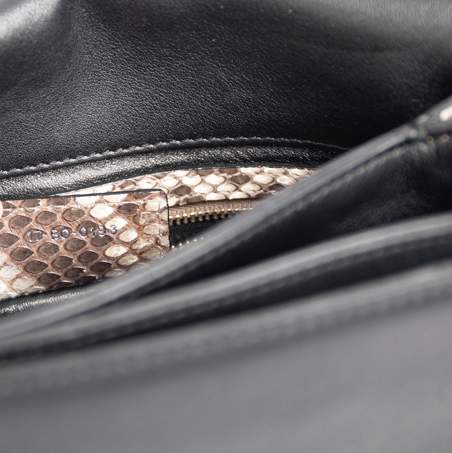 Christian Dior Python-Trimmed Diorling Bag