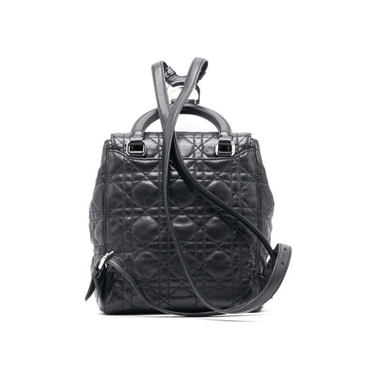 Luxury Dior Mini Backpack