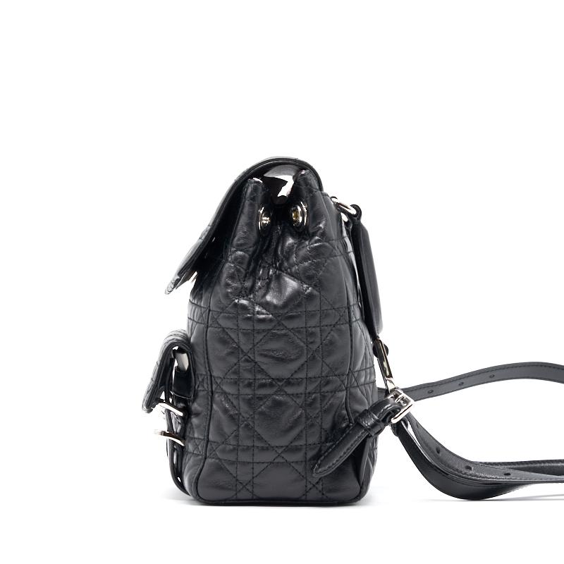 Luxury Dior Mini Backpack