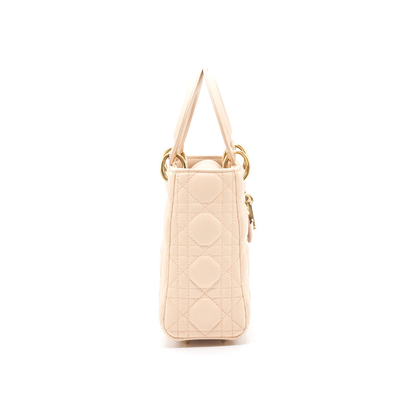 Luxury Dior Small Lady Luxury Dior Bag