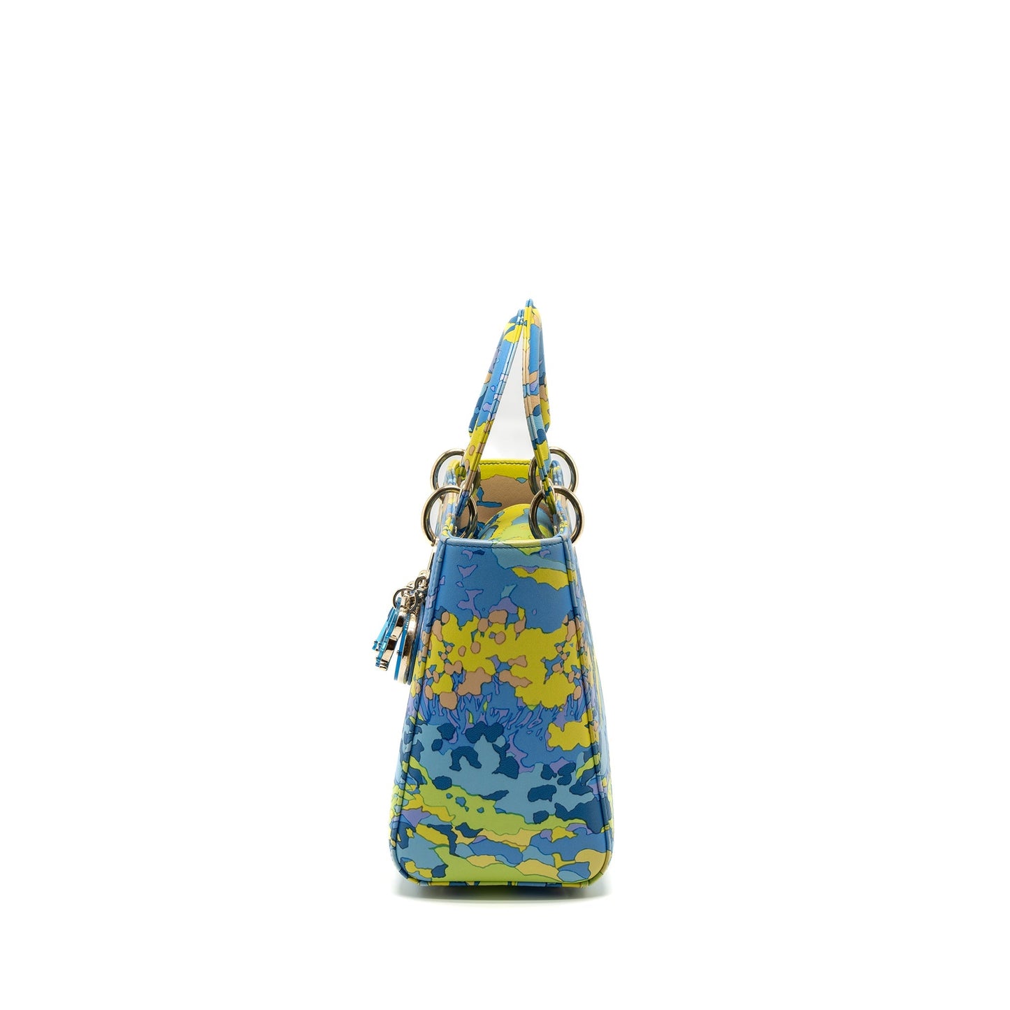 Luxury Dior Medium Lady Luxury Dior Bag Multicolour LGHW