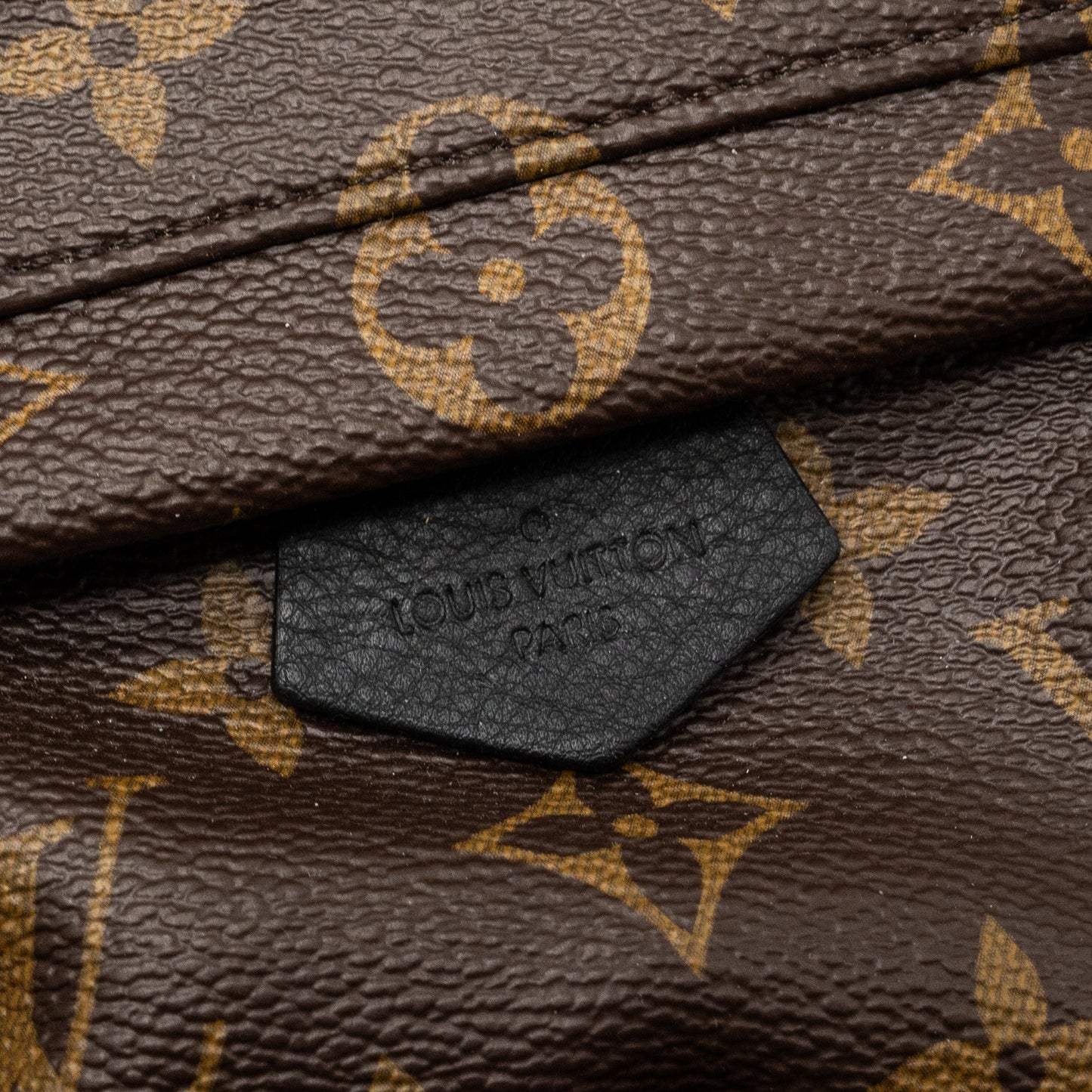 Louis Vuitton mini palm spring backpack monogram canvas GHW
