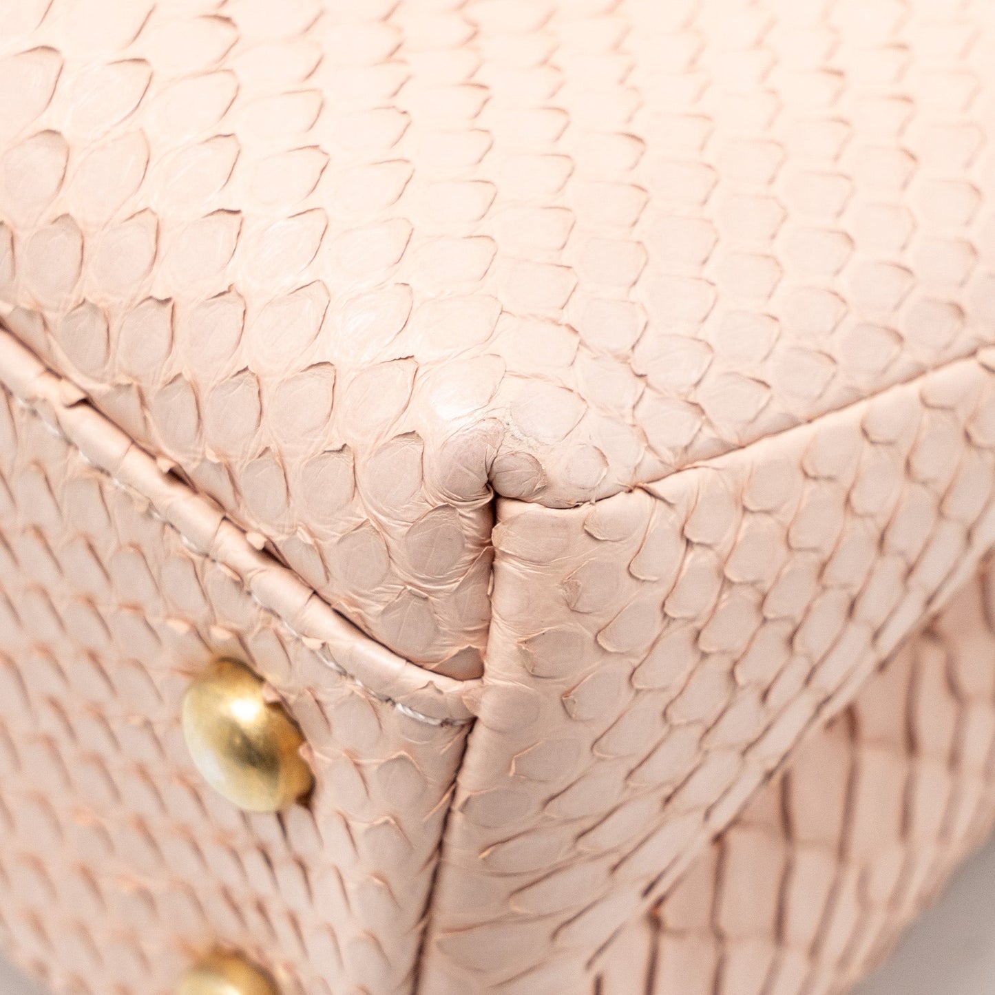 Chanel Small Coco Handle Python Light Pink GHW