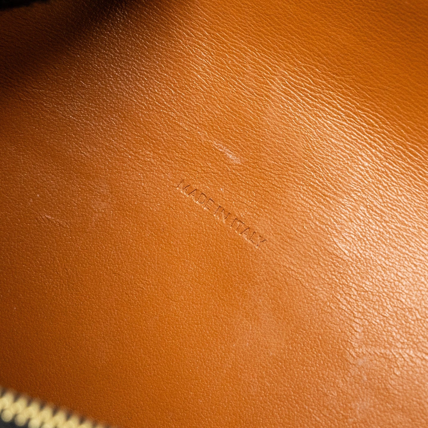 Celine Wallet on Strap Triomphe Canvas/Smooth Lambskin TAN GHW