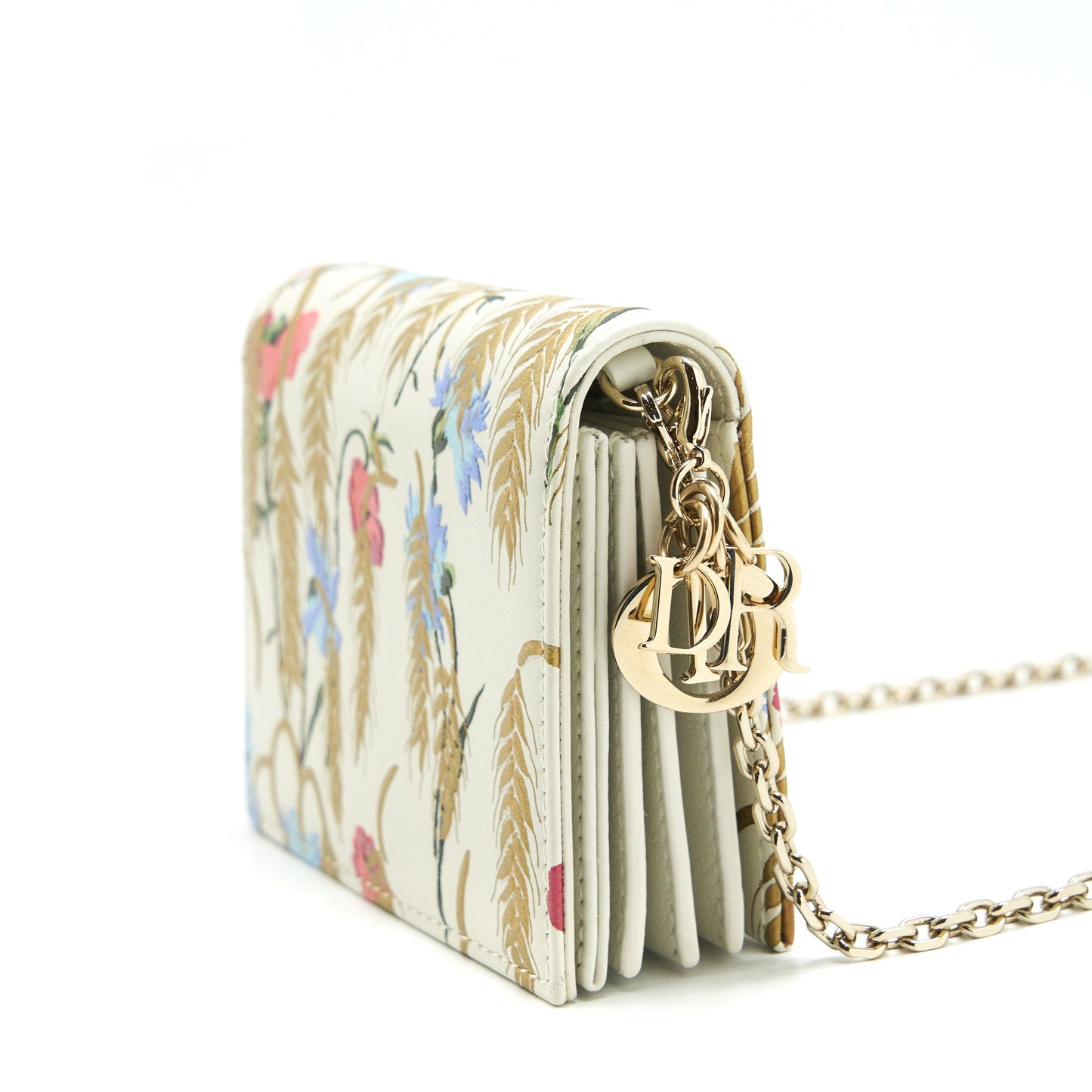 Luxury Dior Card Holder With Chains LGHW