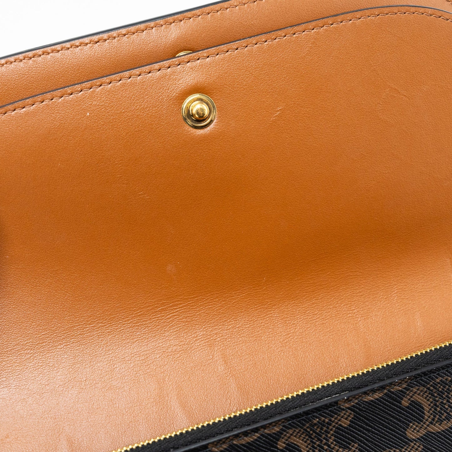 Celine Wallet On Strap Triomphe Canvas/ Lambskin Tan GHW
