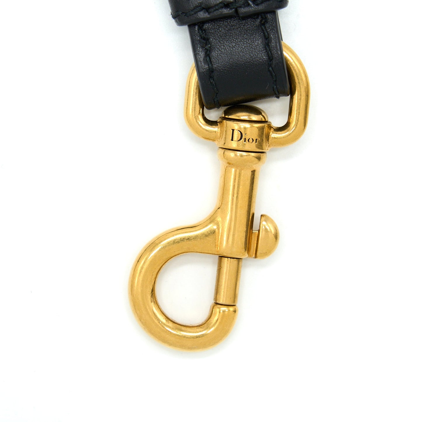 Luxury Dior Shoulder Strap Multicolour GHW