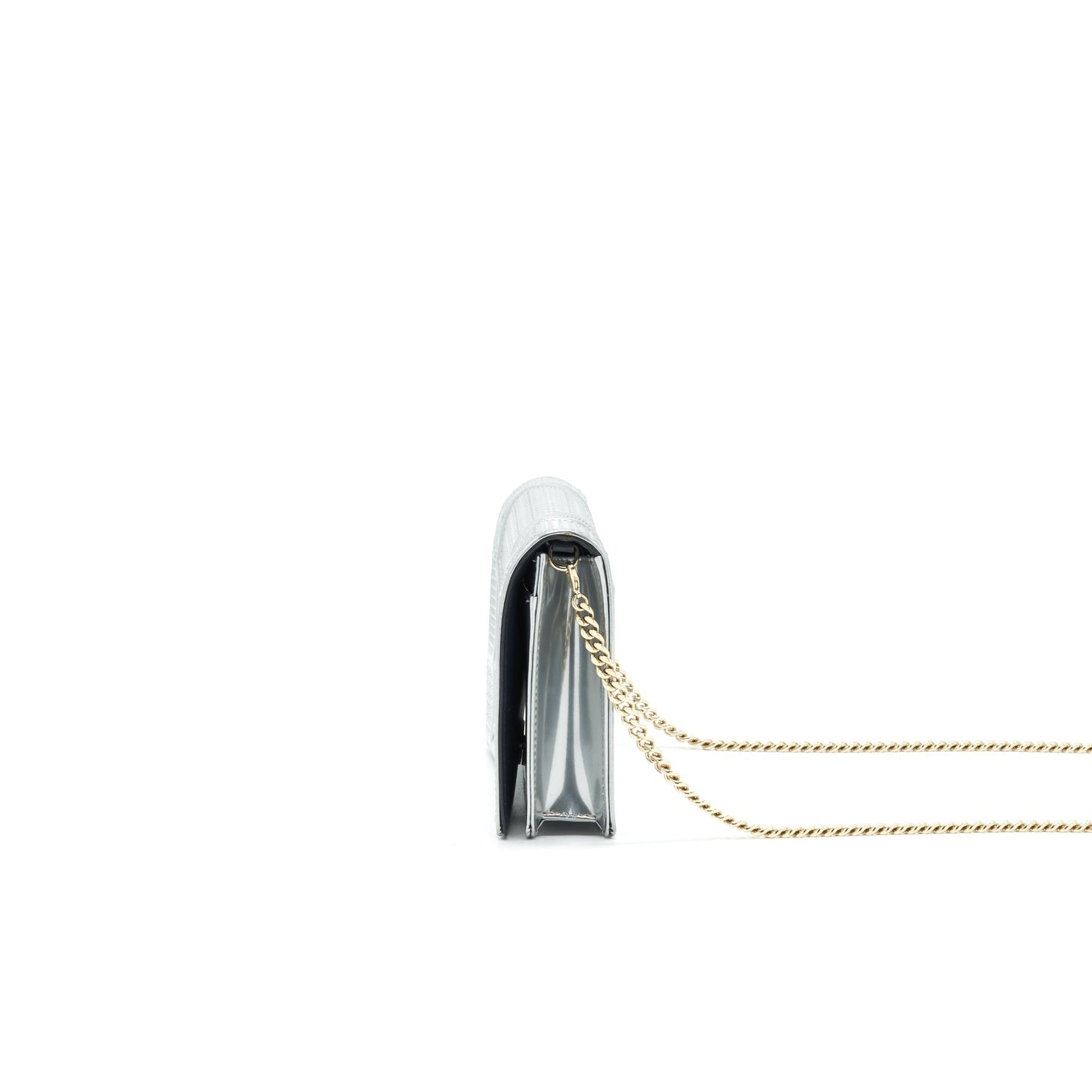 Luxury Dior Luxury DiorAMA WALLET ON CHAIN IN METALLIC SILVER GHW