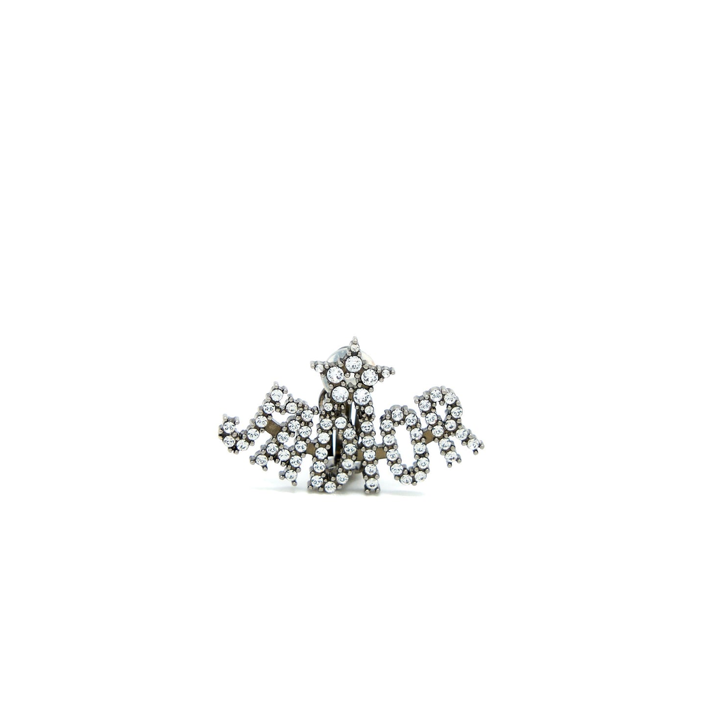 Luxury Dior Bee & J’aLuxury Dior Earrings Silver Tone