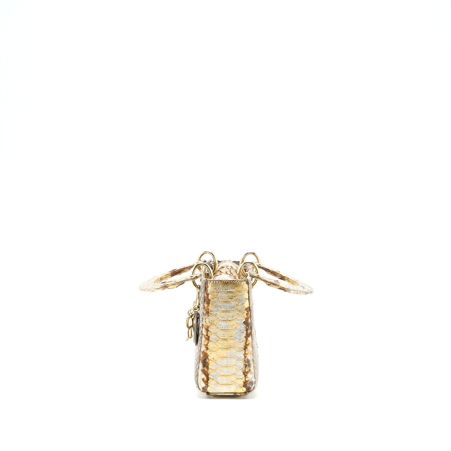 Luxury Dior Mini Lady Luxury Dior Python Gold/Beige LGHW