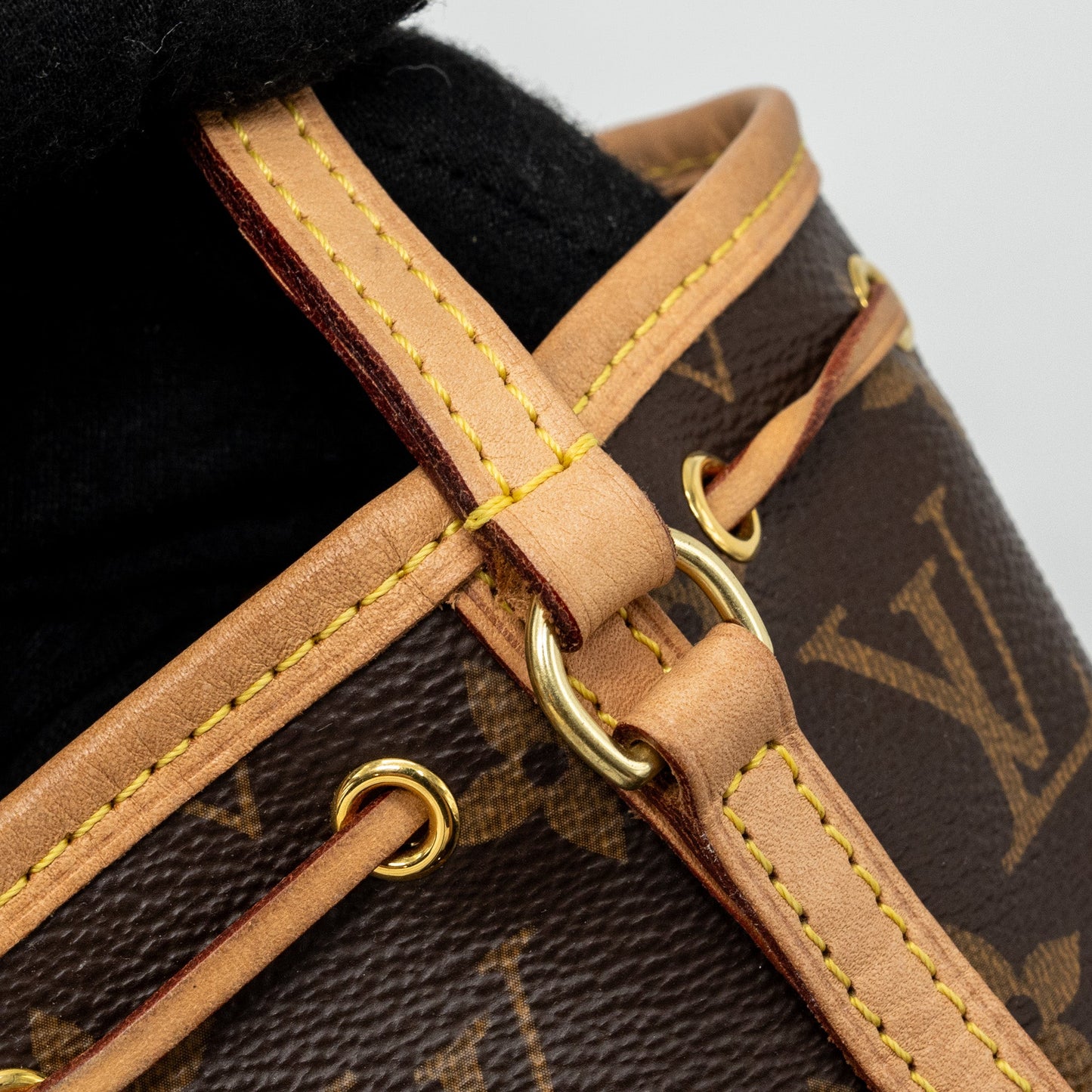 Louis Vuitton Nano Noe Monogram Canvas GHW