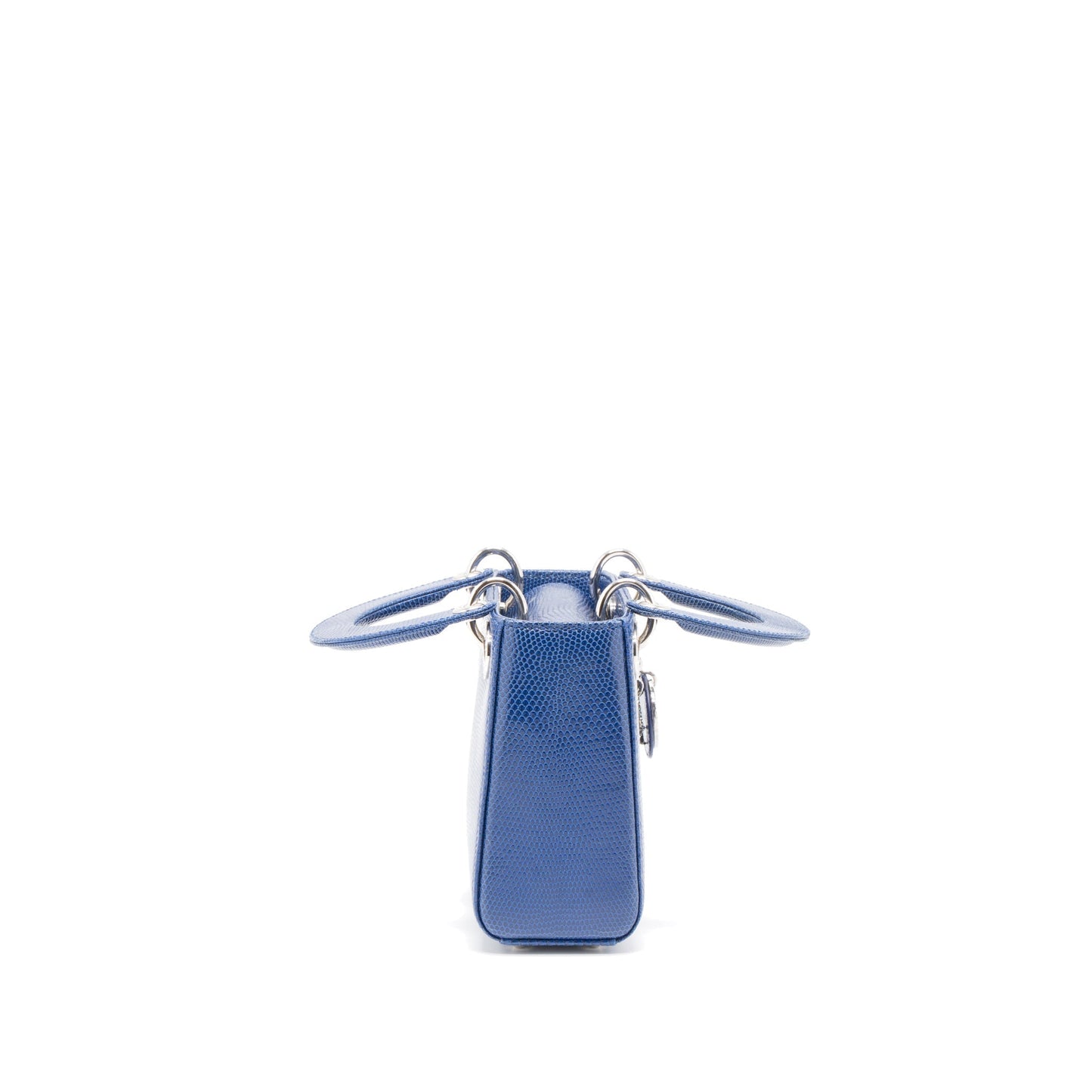 Luxury Dior Mini Lady Luxury Dior Lizard Blue Crystal SHW