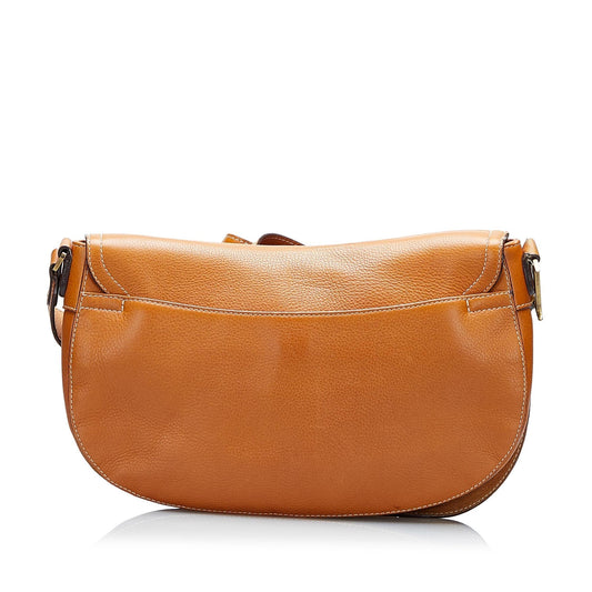 Luxury DiorSaddle Crossbody Bag (SHG-r7C1DW)
