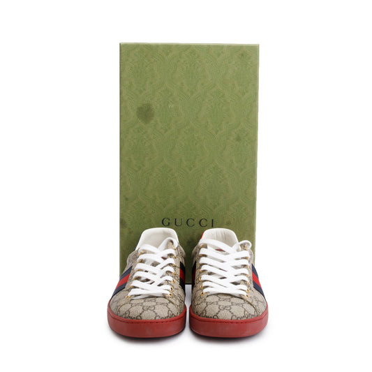 Gucci GG Supreme Red Python Trim Web Ace Sneakers, Size 8.5