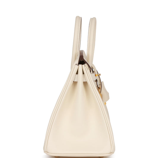 Luxury Hermes Birkin 25 Nata Swift Gold Hardware