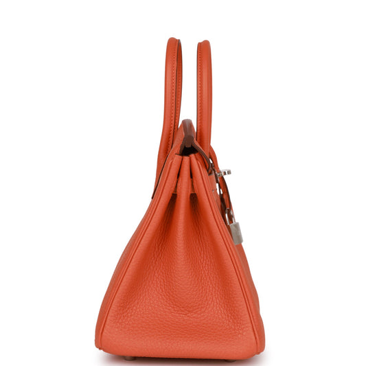 Luxury Hermes Birkin 25 Orange Togo Palladium Hardware