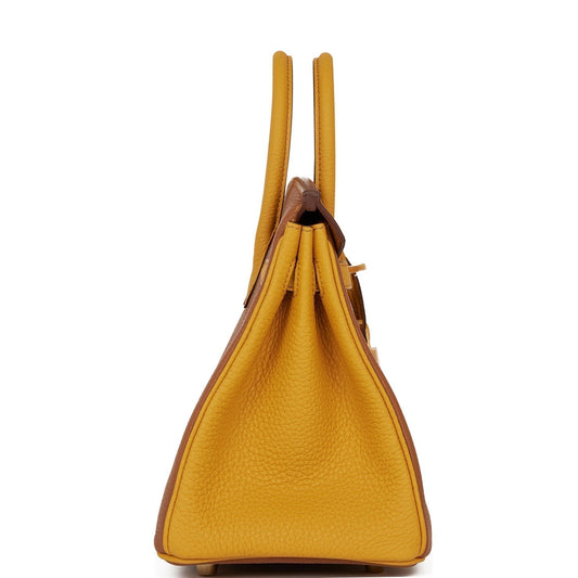 Luxury Hermes Special Order (HSS) Birkin 25 Gold and Jaune Ambre Togo Brushed Gold Hardware