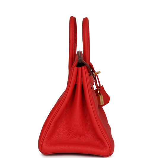 Luxury Hermes Birkin 25 Rouge de Coeur Togo Gold Hardware