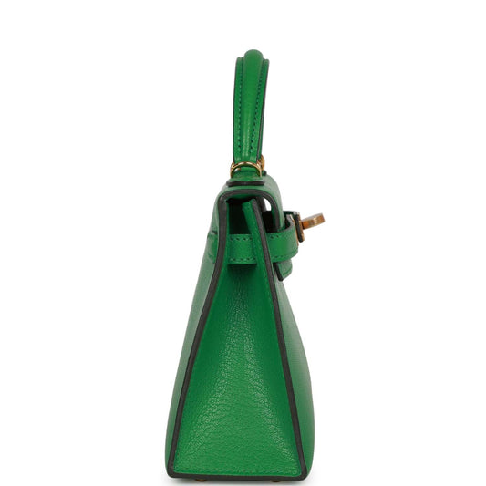 Luxury Hermes Kelly Sellier 20 Bambou Chevre Gold Hardware
