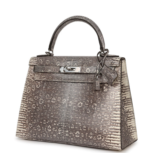 Luxury Hermes Kelly Sellier 28 Ombre Veranus Salvator Lizard Palladium Hardware