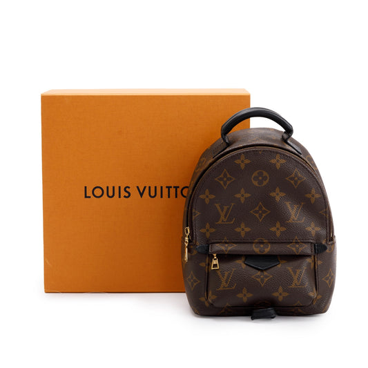 Louis Vuitton 2020 Monogram Palm Springs Mini Backpack