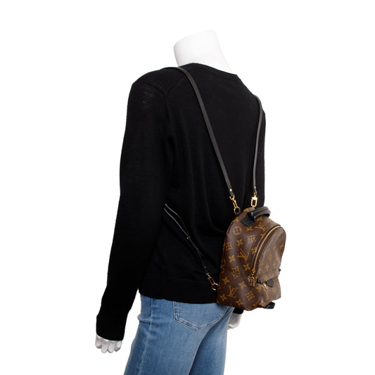 Louis Vuitton 2020 Monogram Palm Springs Mini Backpack