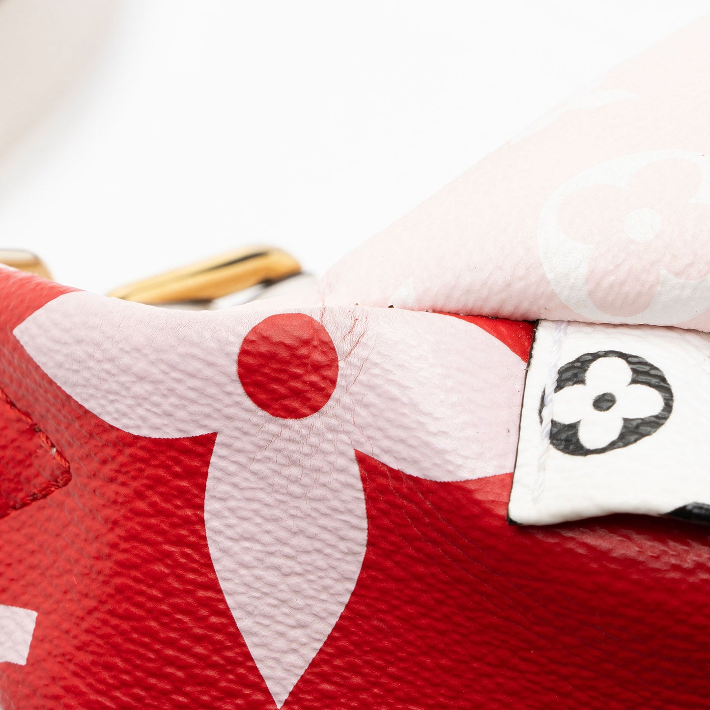Louis Vuitton Giant Monogram Canvas Bumbag
