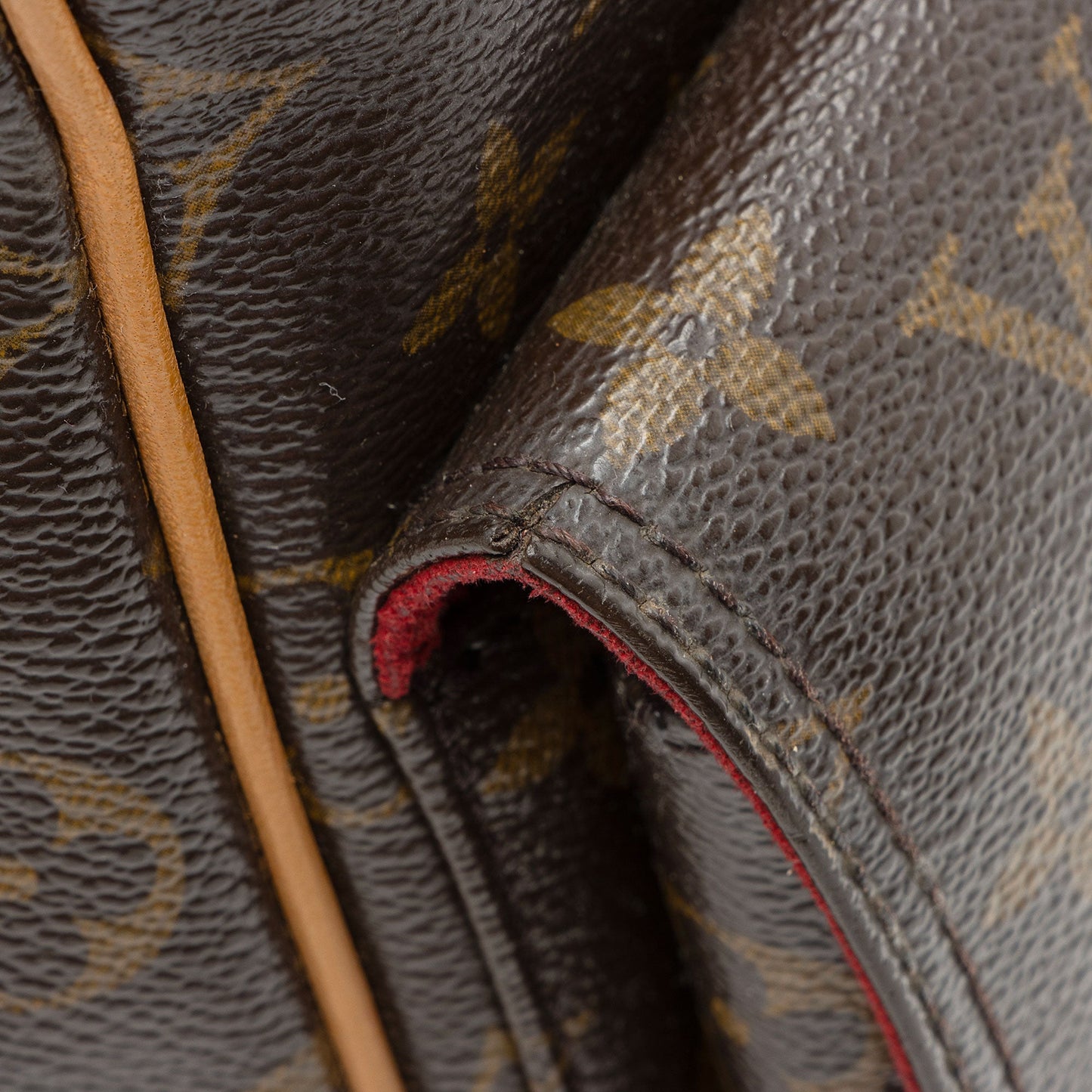 Louis Vuitton Monogram Canvas Multipli-cite Tote