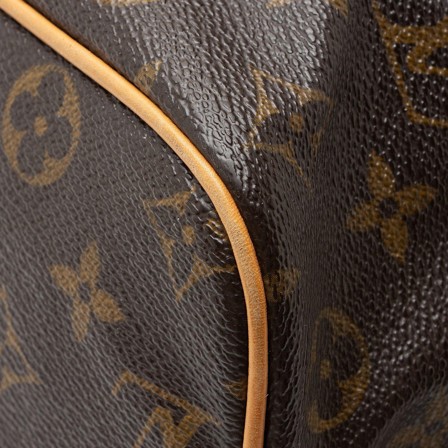 Louis Vuitton Monogram Canvas Palermo GM Tote