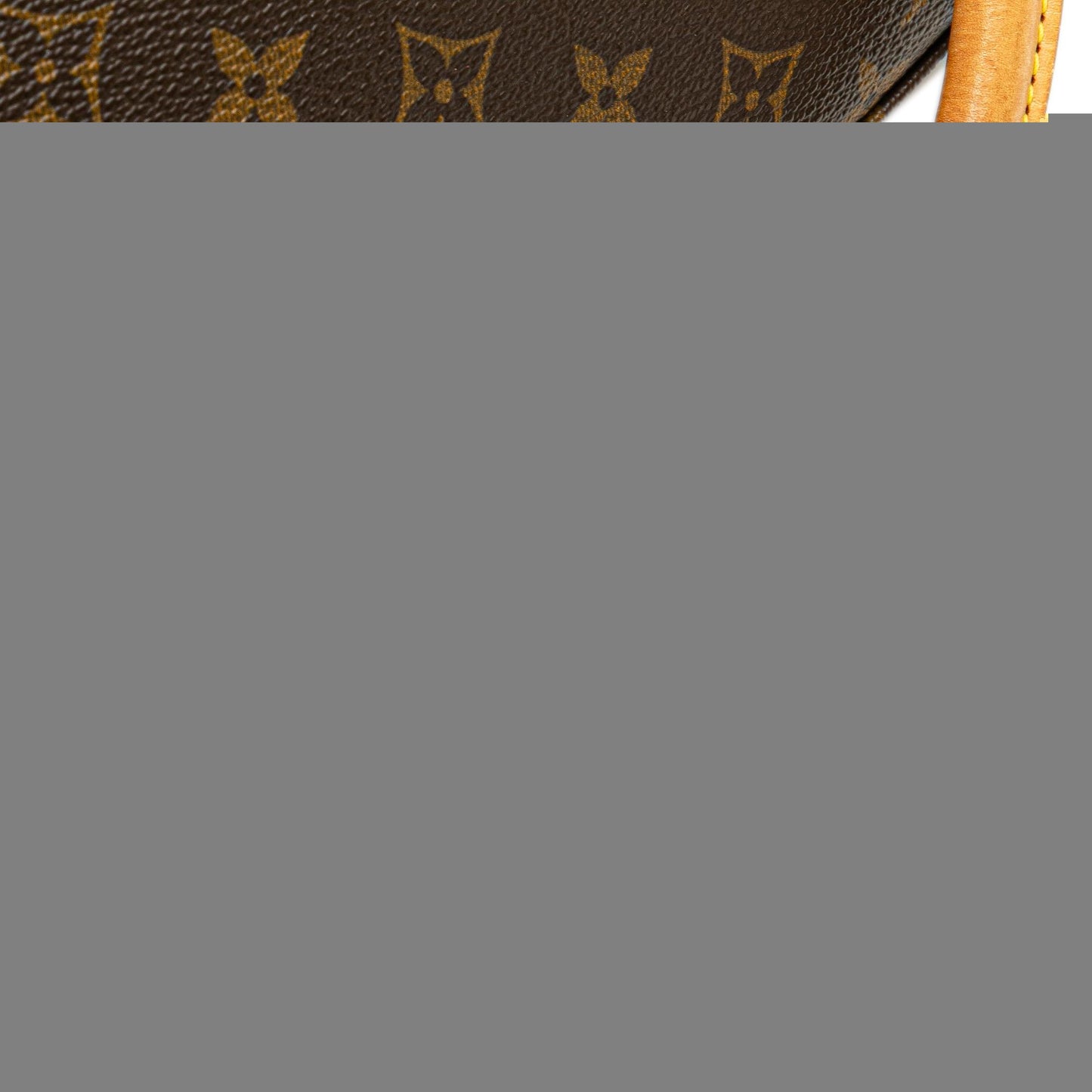 Louis Vuitton Monogram Looping MM