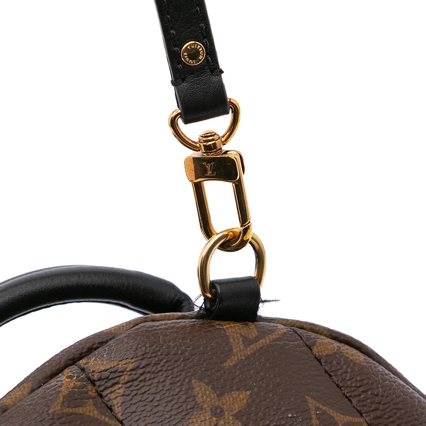 Louis Vuitton Monogram Mini Palm Springs