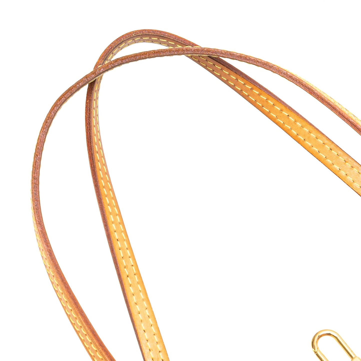 Louis Vuitton Monogram Neverfull PM