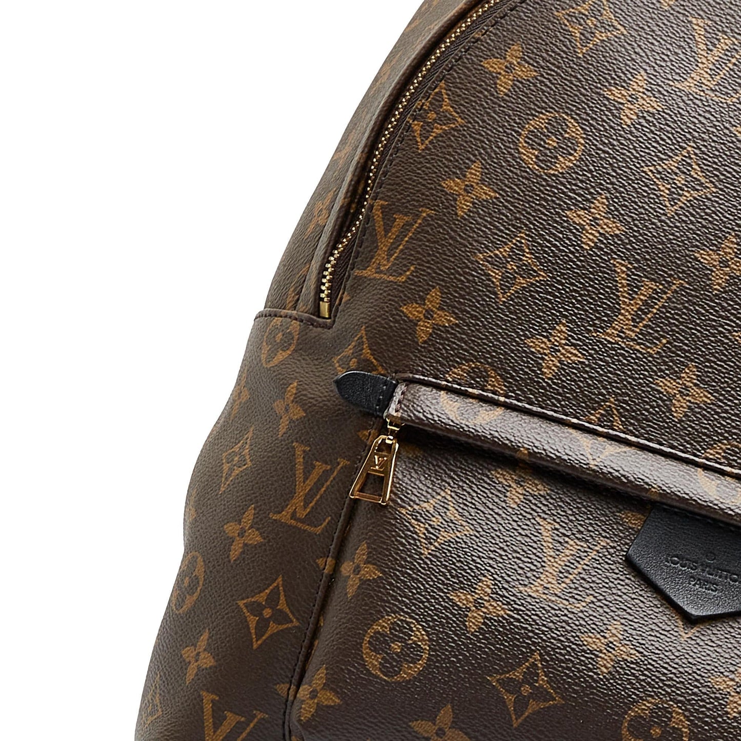 Louis Vuitton Monogram Palm Springs MM (SHG-EEtM0b)