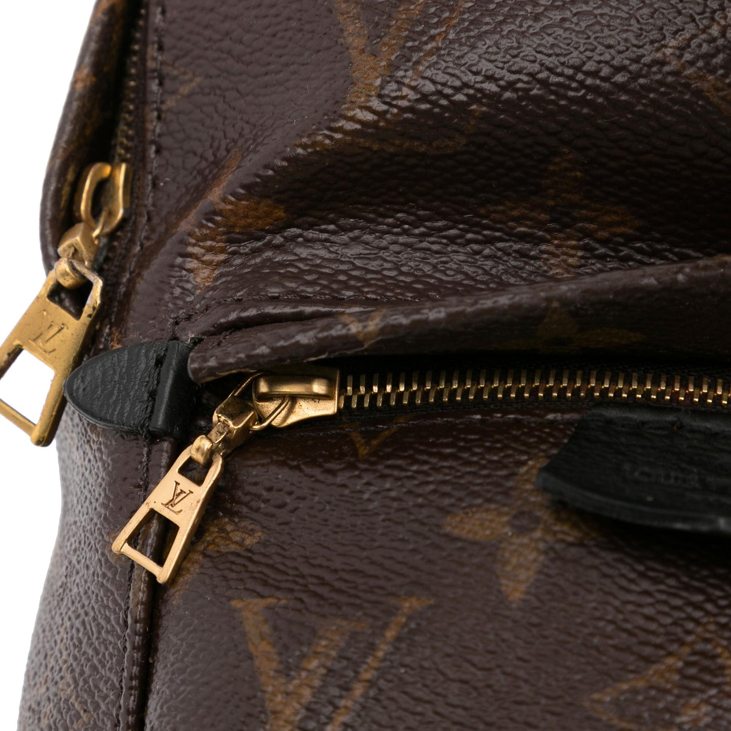 Louis Vuitton Monogram Palm Springs Mini (SHG-DldnMG)