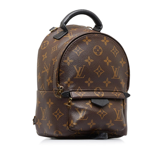 Louis Vuitton Monogram Palm Springs Mini (SHG-2nZ70X)