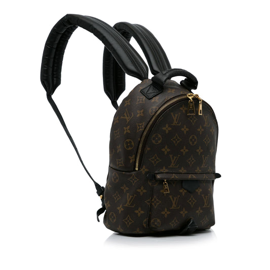 Louis Vuitton Monogram Palm Springs PM (SHG-b2hE1P)