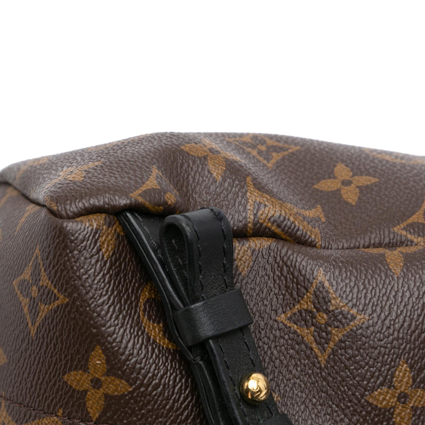 Louis Vuitton Monogram Palm Springs PM (SHG-VyZgca)