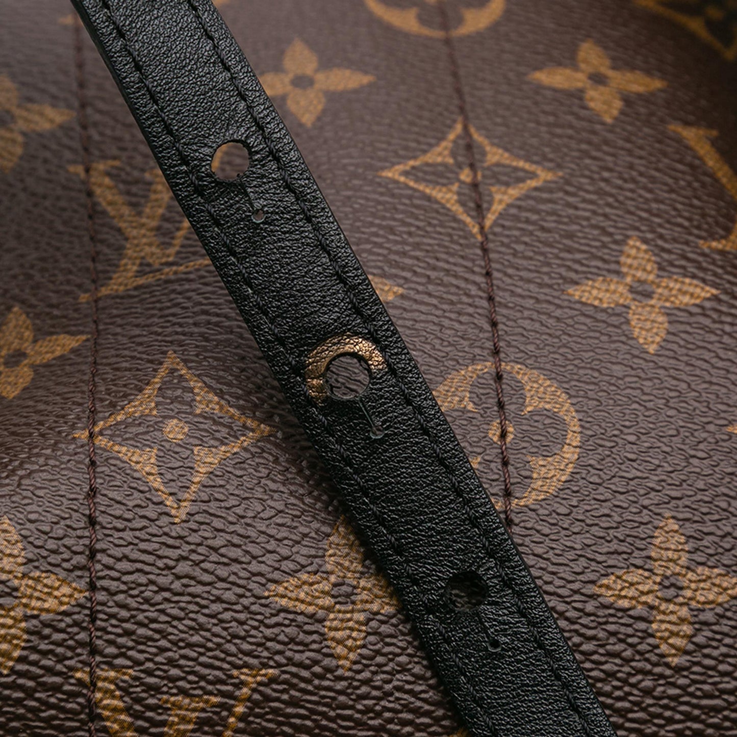 Louis Vuitton Monogram Palm Springs PM