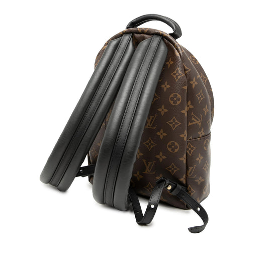 Louis Vuitton Monogram Palm Springs PM